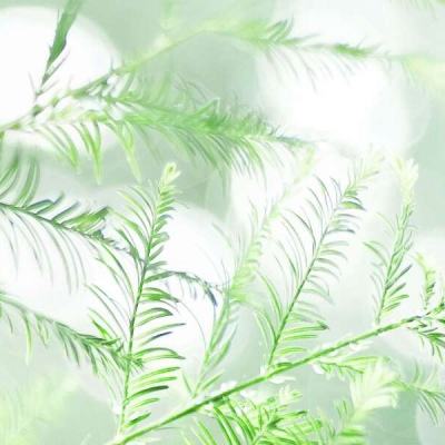 这就是三国无限元宝破解版下载